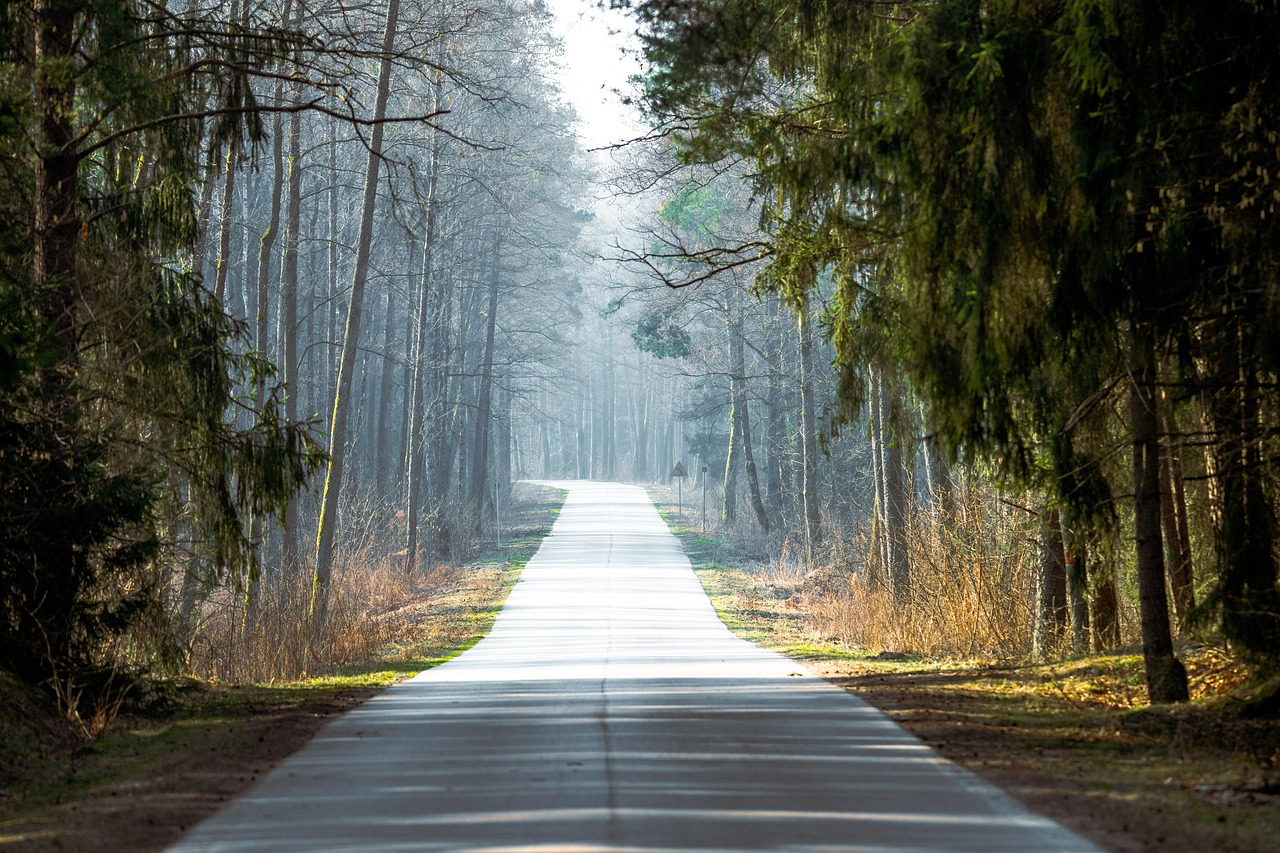 Image by MarcinZ83 from Pixabay · Pixabay Content License road, poland, avenue, forest, national park, landscape, nature, spring, tsar's path — Image by MarcinZ83 from Pixabay · Pixabay Content License