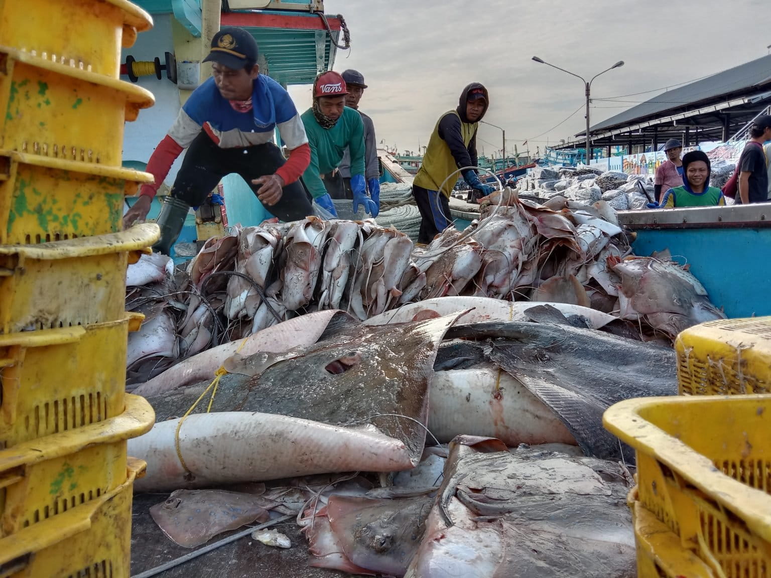 Deckhands unload the day's fish catch at Tegalsari Coastal Fishing Port in Tegal, Central Java. Image by Asad Asnawi/Mongabay-Indonesia.