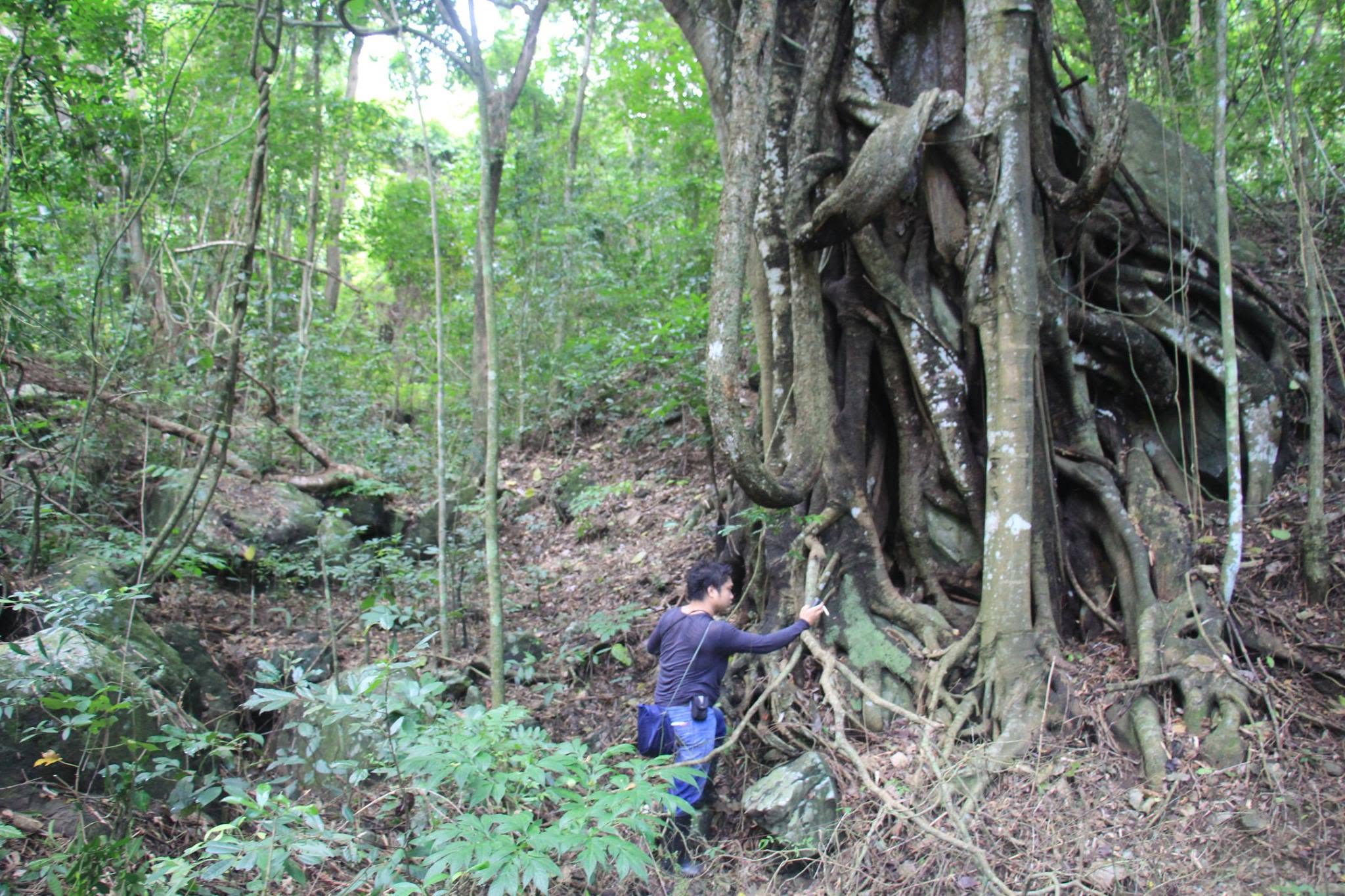 Enrico Replan from the, Assistant Professor at the Institute of Environmental Science and Meteorology (IESM), University of the Philippines Diliman doing fieldwork in Mounts Palay-Palay-Mataas-na-Gulod Protected Landscape. Image courtesy of Enrico Replan.