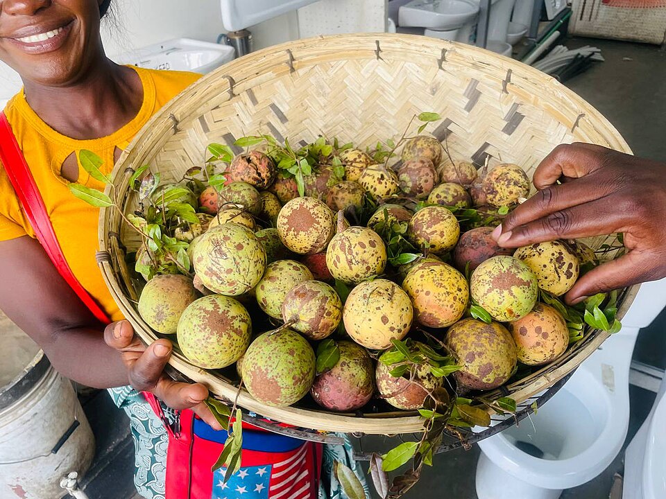 Wild indigenous fruit from Zambia.jpg