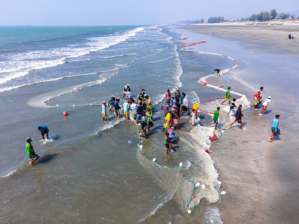 Fishers Hauling the Net.jpg
