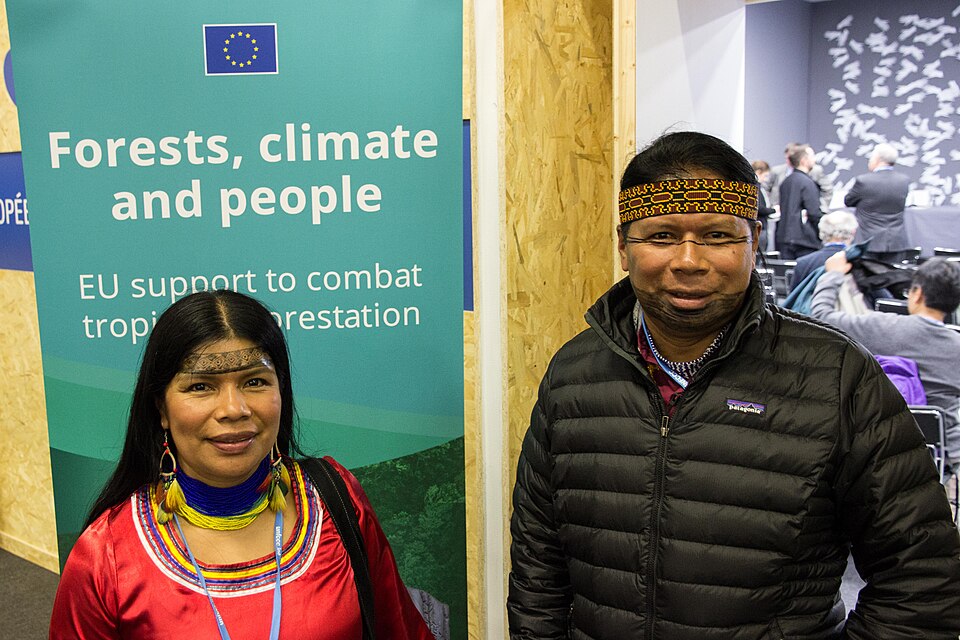 Indigenous representatives COP21.jpg