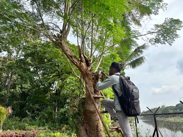 Vivek Lanjawa capturing the natural gum coming out of the moringa tree