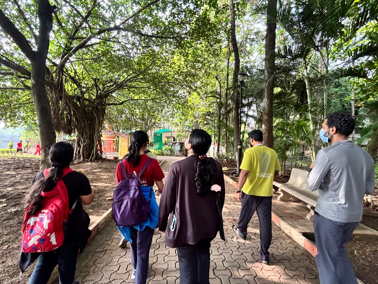 A group of volunteers walk towards a tree mapping area. Image by Stephin Thomas.