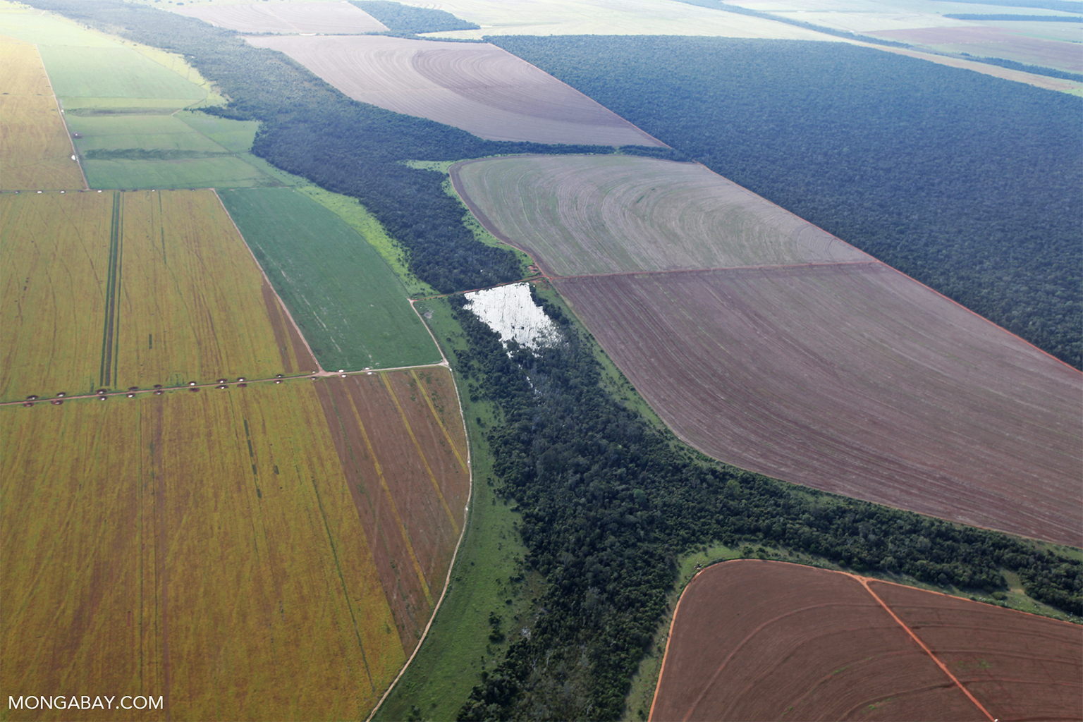 Patchwork of legal forest reserves, pasture, and soy farms in the Brazilian Amazon in Mato Grosso. Image by Rhett A. Butler/Mongabay.