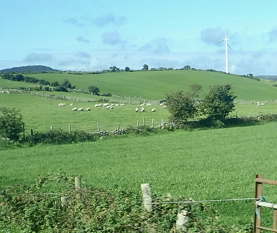 Wind turbine on the drumlin ridge above Ballylough lake - geograph.org.uk - 6970665.jpg