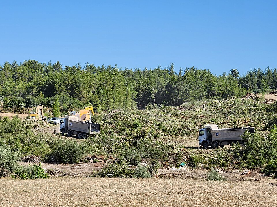Tree cutting work in Akbelen Forest.jpg