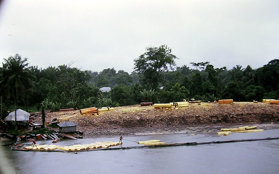 Bûcheronnage dans le delta du Niger.jpg