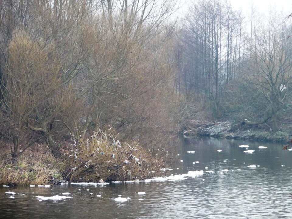 Pollution on the River Aire - geograph.org.uk - 2766021.jpg