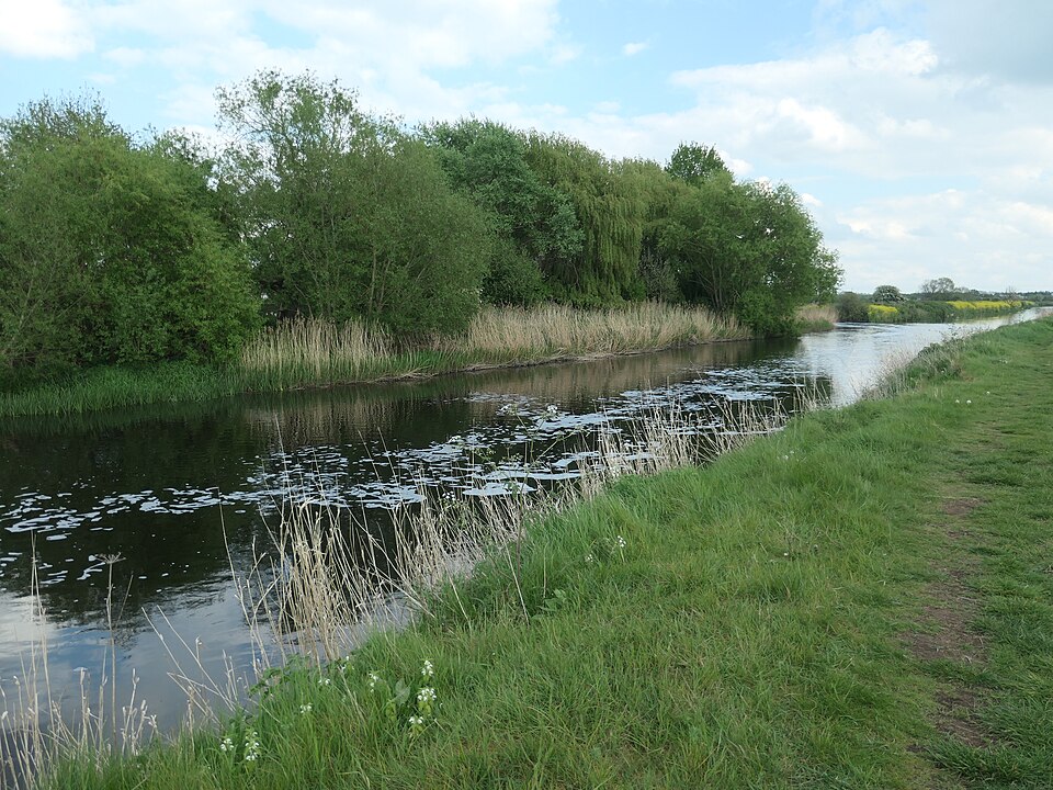 Pollution on the River Tame, Tamworth - geograph.org.uk - 7208631.jpg