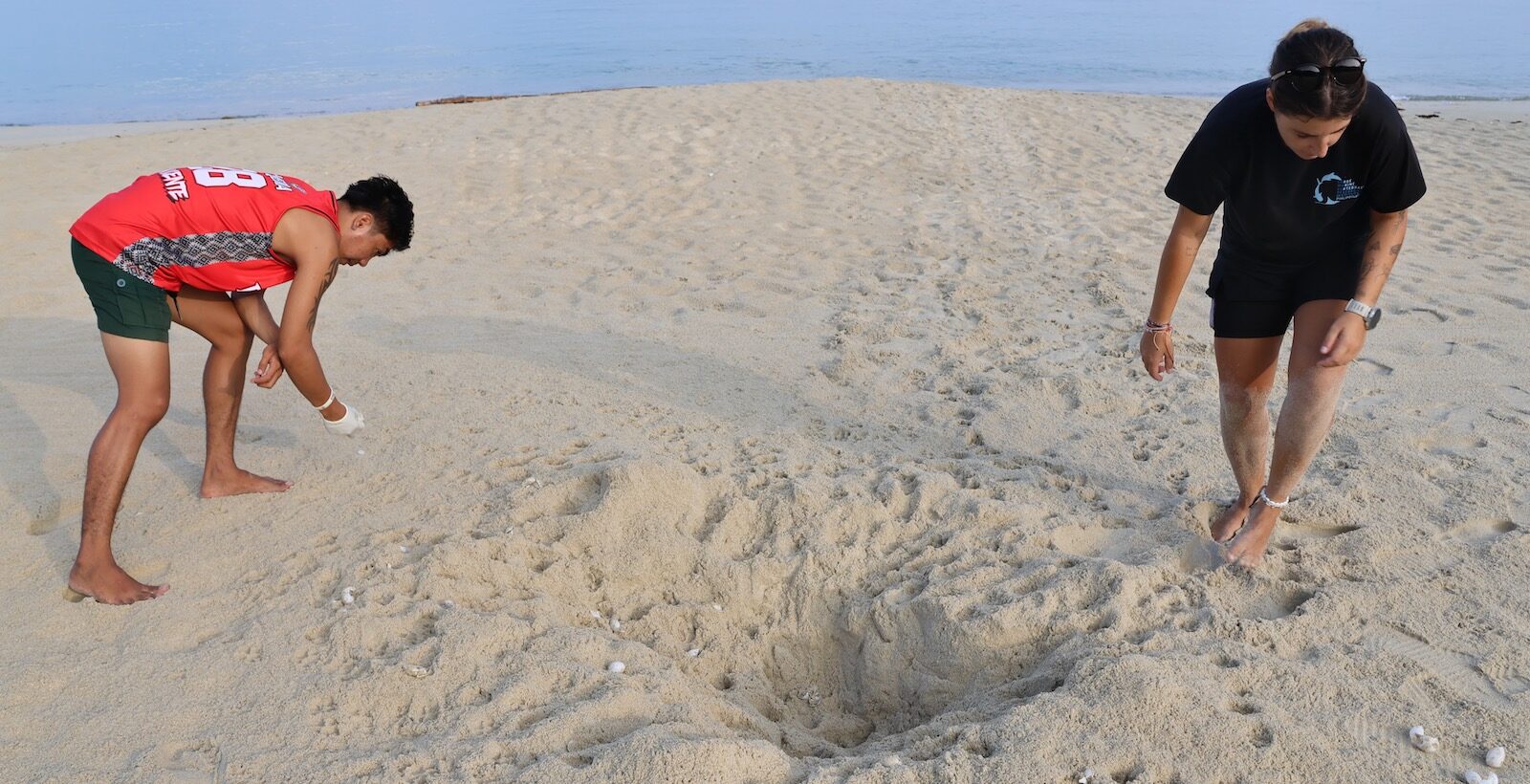 LAMAVE patrollers find a predated nest in Santo Niño, San Vicente, Palawan, April 2026. Image by Rachel Duckett for Mongabay.