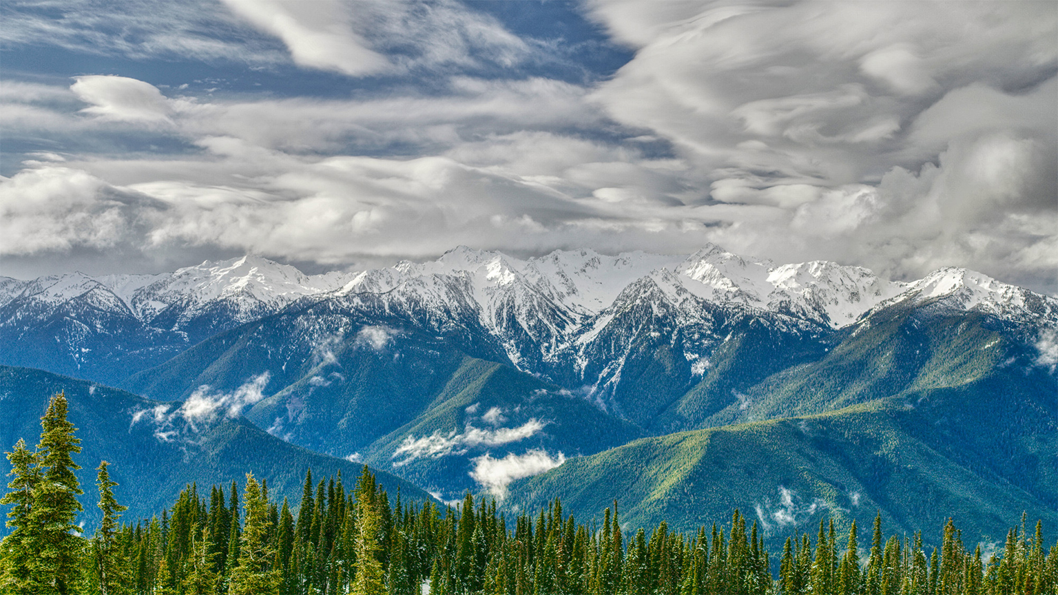 This current study on the how cougars change the behavior of deer was conducted in Washinton state’s Olympic Mountain range. Image by Joe Pontecorvo.
