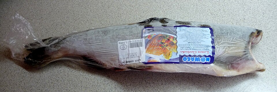 Frozen pink salmon (1).jpg