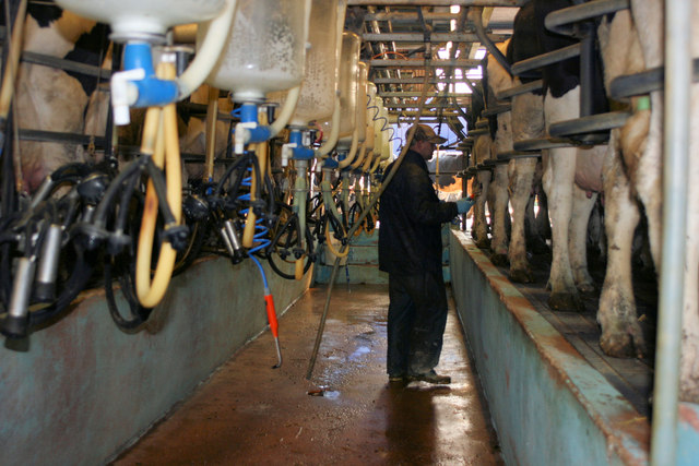 Sampford Farm Dairy. - geograph.org.uk - 1215089.jpg