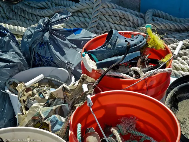 Morro Bay, CA Sandspit Coastal Cleanup Day (CCD), Saturday, September 17, 2011.jpg