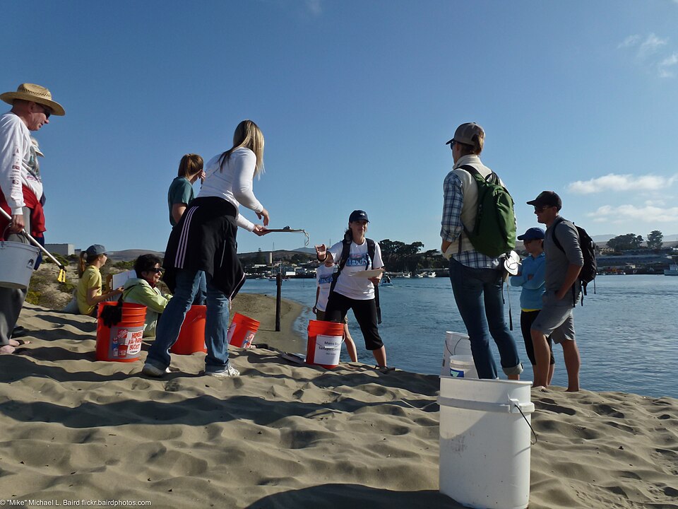 Morro Bay, CA Sandspit Coastal Cleanup Day (CCD), Saturday, September 17, 2011 10.jpg
