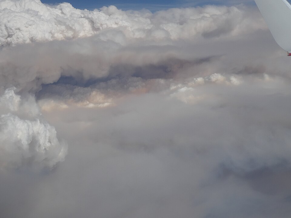 Detail of pyrocumulonimbus cloud over NSW.jpg