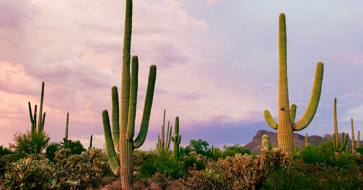 Water Environment Federation WEFMAX Arizona — Water Environment Federation